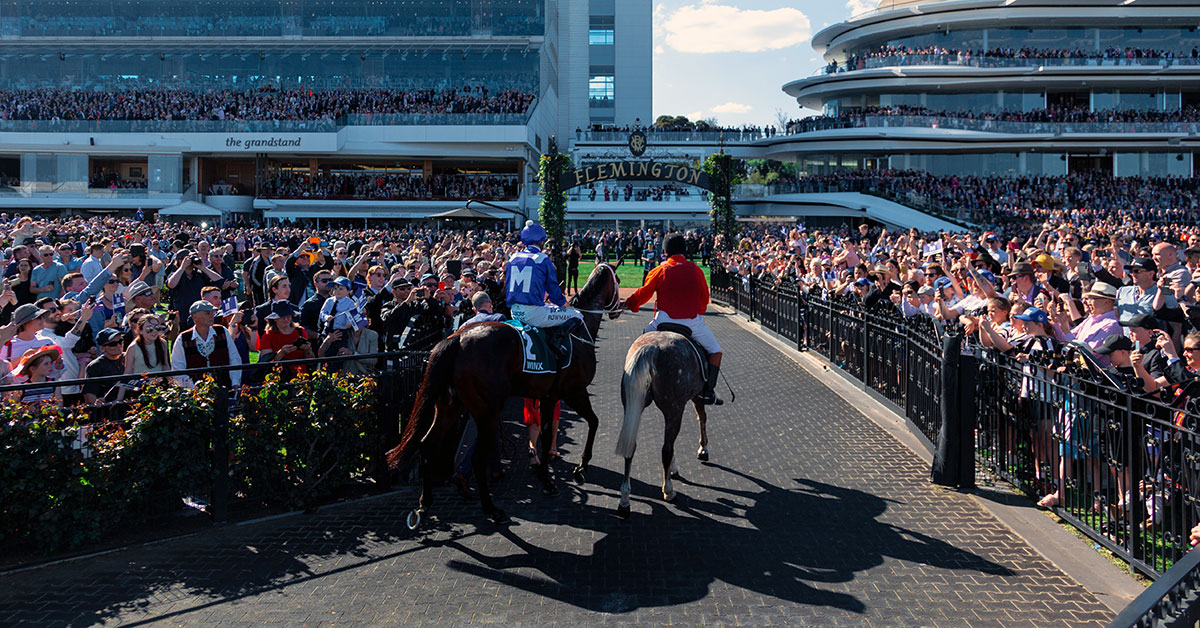 Compared: Sky Racing Tips and Stats Insider's Racing Tips
