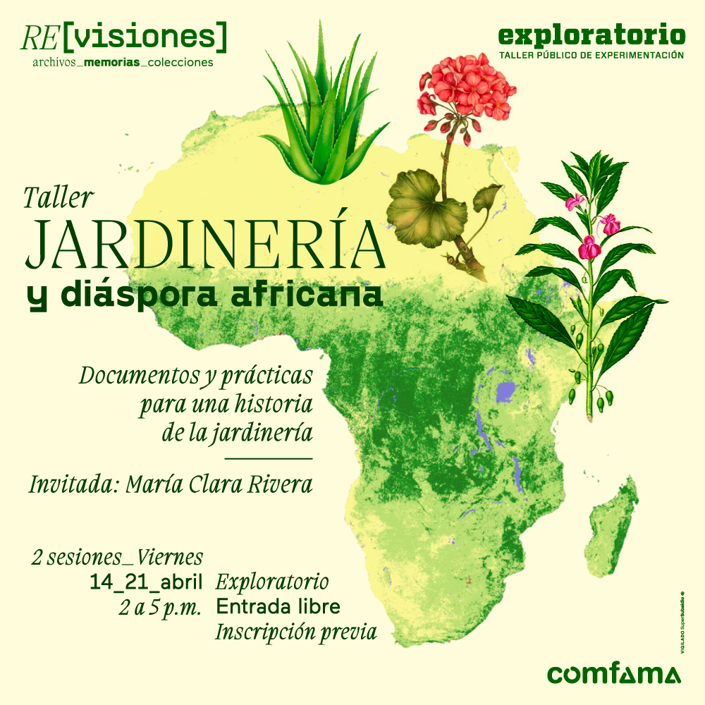 Ilustración. En el fondo de la imagen aparece el mapa de África. Sobre él aparece una penca, una planta de besitos y otra de novios. En la parte izquierda de la imagen texto que dice: "Taller jardinería y diáspora africana. Documentos y prácticas para una historia de la jardinería. invitada: María Clara Rivera. 2 sesiones. Viernes 14 y 21 de abril de 2 a 5 de la tarde. Exploratorio. Entrada libre con inscripción previa".
