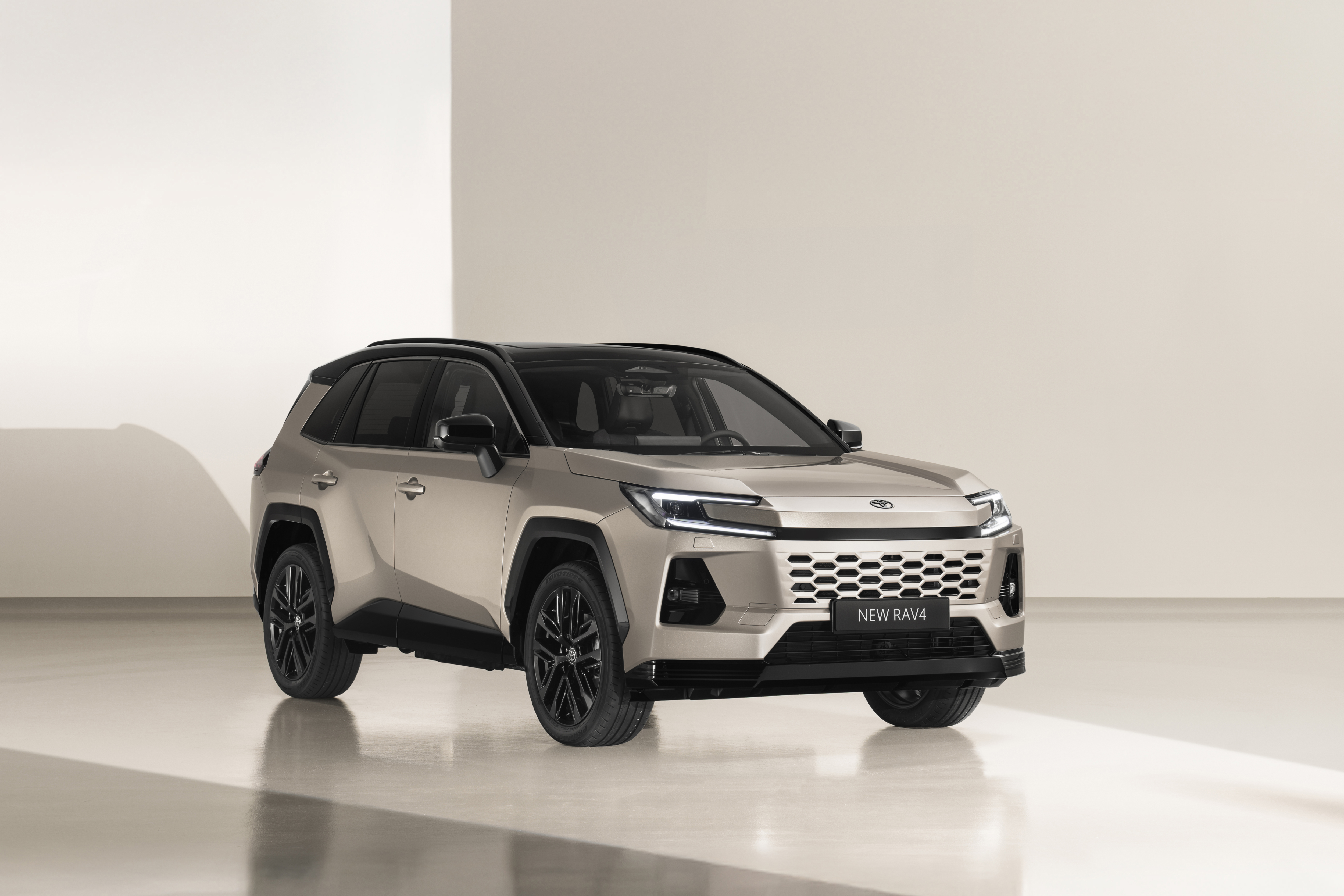 Ein Toyota RAV4 Hybrid.