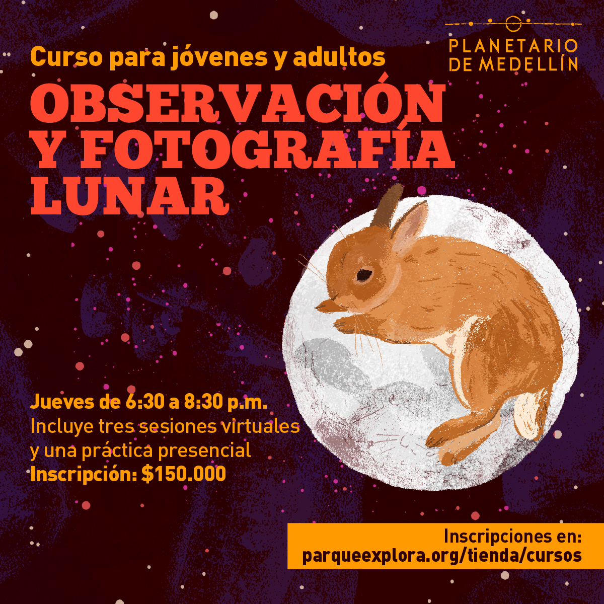 Ilustración. En la parte inferior derecha de la imagen sobre un círculo blanco que simula la luna está acostado un conejo pequeño color café claro. Tiene sus patas delanteras junto a su cabeza y sus patas traseras estiradas. En la parte izquierda de la imagen texto que dice: "Curso para jóvenes y adultos. Observación y fotografía lunar. Jueves de 6 y 30 a 8 y 30 de la noche. Incluye tres sesiones virtuales y una práctica presencial. Inscripción: $150.000. Inscripciones en parqueexplora.org/tienda/cursos".