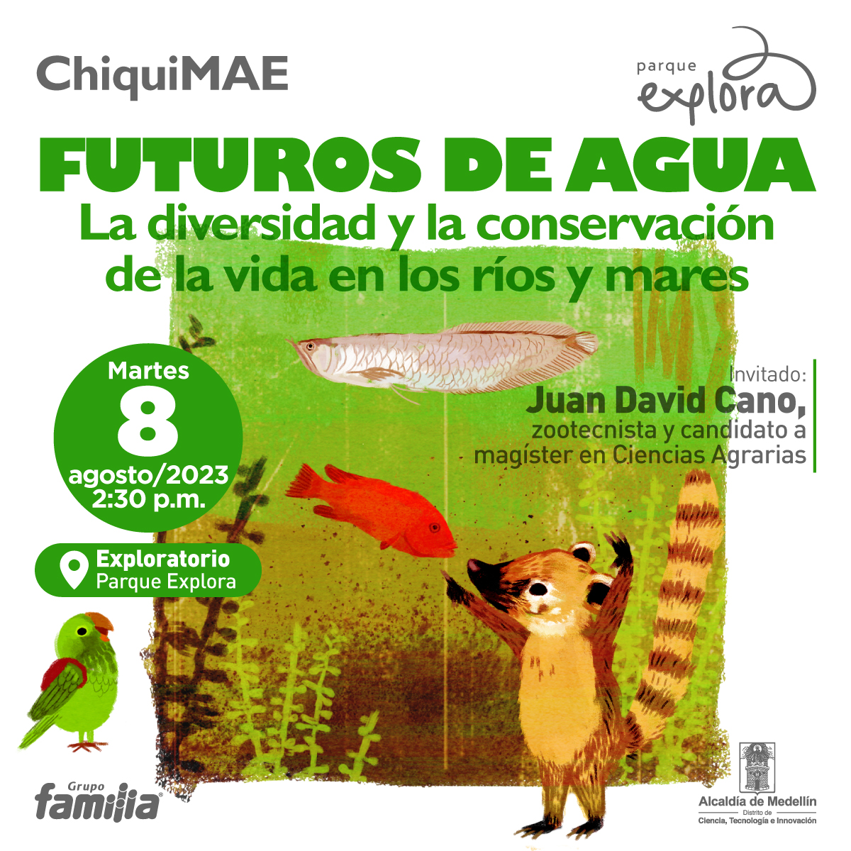 Ilustración. En el centro de la imagen un cuadrado que contiene plantas, un fondo verdoso y varios peces sobre él, en la parte inferior lo observan un lorito con un morral rojo en la espalda y un cusumbo parado sobre sus patas traseras, un animal pequeño con hocico y cola alargados y orejas pequeñas. En la parte superior de la imagen texto que dice: "ChiquiMAE. Futuros de agua. La diversidad y la conservación de la vida en los ríos y mares. Martes 8 de agosto de 2023 a las 2:30 de la tarde en el Exploratorio del Parque Explora. Invitado: Juan David Cano, zootecnista y candidato a magíster en Ciencias Agrarias".