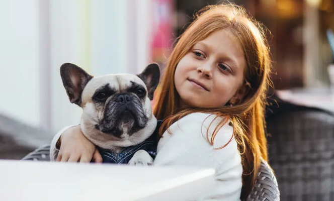 Red headed girl cuddling a lovely french bulldog. 