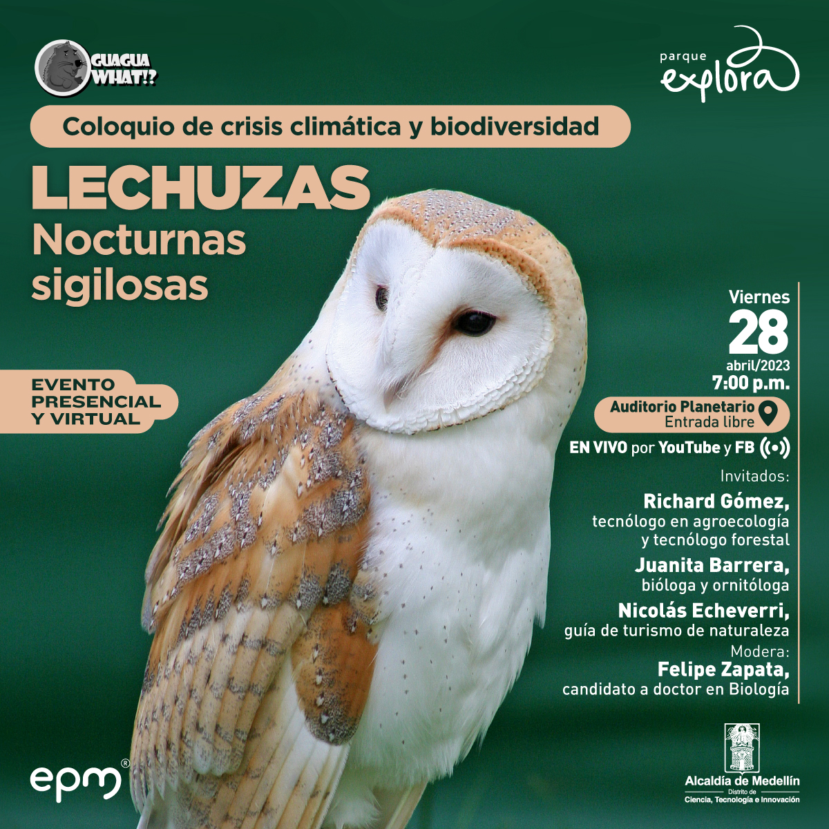 Fotografía. De perfil, una lechuza blanca conocida como lechuza Tyto alba se posa erguida y ligeramente ladeada hacia la izquierda. Un texto dice: "Coloquio de crisis climática y biodiversidad lechuzas. Nocturnas sigilosas. Invitados: Richard Gómez, tecnólogo en agroecología y tecnólogo forestal. Juanita Barrera, bióloga. ornitóloga. Nicolás Echeverri: guía de turismo de naturaleza. Modera: Juan Felipe Zapata, microbiólogo, PhD(c) en Biología. Auditorio Planetario de Medellín, entrada libre. Transmisión en vivo por YouTube y Facebook"