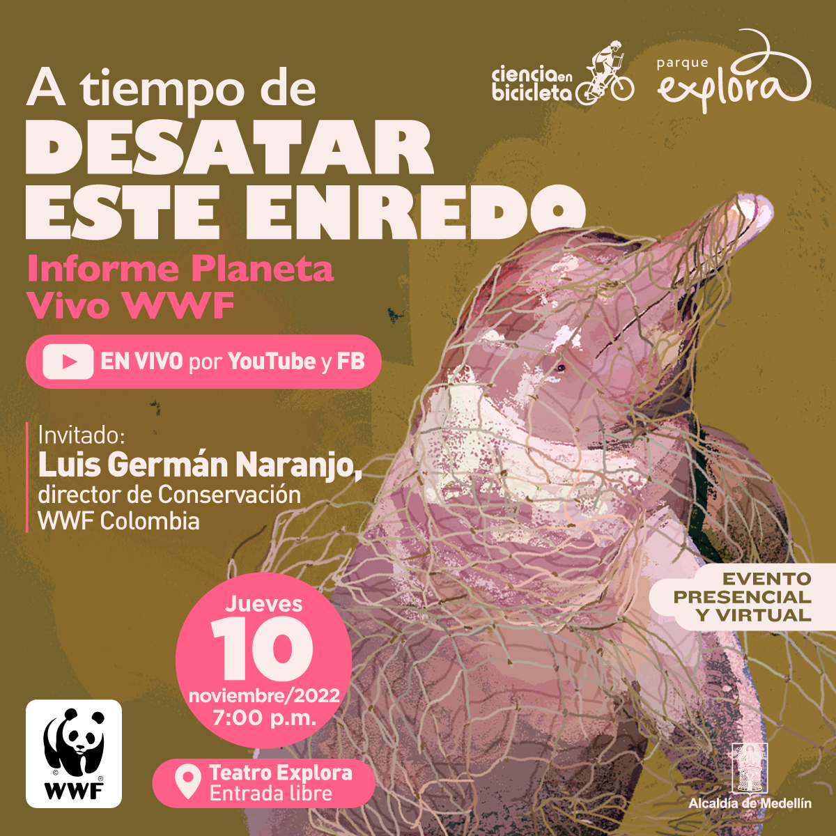 Ilustración. A la derecha aparece de perfil un delfín rosado en posición vertical con la cabeza hacia arriba. Está atrapado en una red de pesca. Arriba un texto dice: "A tiempo de desatar este enredo. Informe Planeta Vivo WWF". Abajo dice: "En vivo por Youtube y Facebook. Invitado: Luis Germán Naranjo, director de Conservación WWF Colombia. Jueves 10 de noviembre de 2022 a las 7 de la noche. Teatro Explora. Entrada libre".