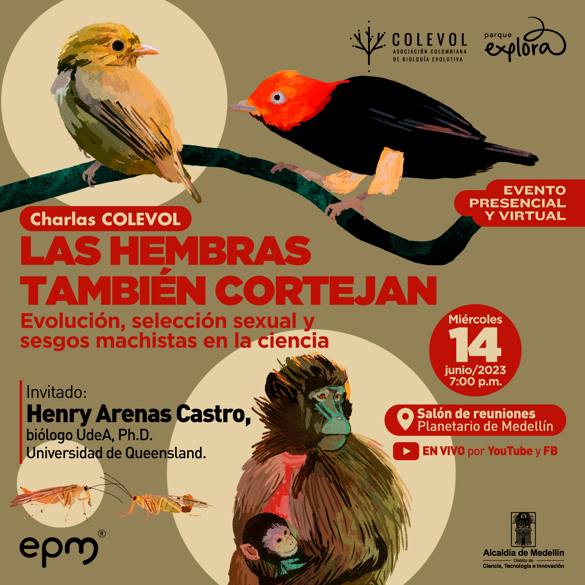 Ilustración. Sobre un fondo color café aparecen varios animales: dos aves, dos saltamontes y dos simios. En el centro de la imagen texto que dice: "Charlas COLEVOL. Las hembras también cortejan. Evolución, selección sexual y sesgos machistas en la ciencia. Evento presencial y virtual. Invitado: Henry Arenas Castro, biólogo de la Universidad de Antioquia, doctor de la Universidad de Queensland. Miércoles 14 de junio de 2023 a las 7 de la noche. En el Salón de reuniones del Planetario de Medellín. En vivo por YouTube y Facebook".