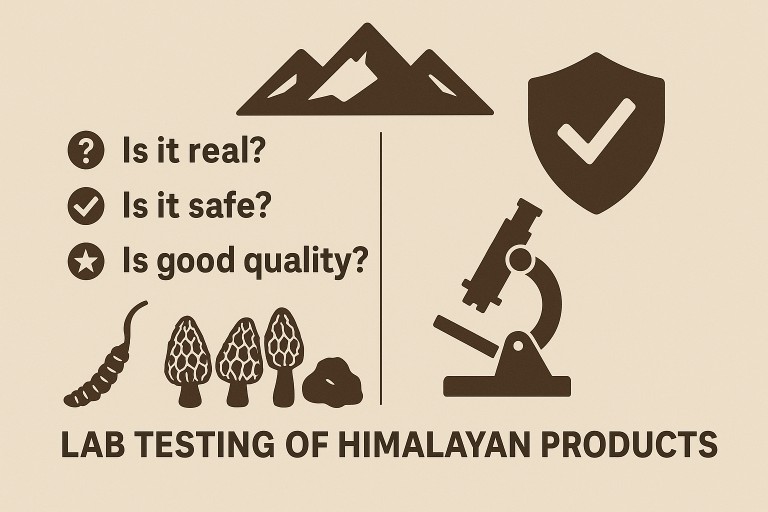 Lab Testing of Himalayan Treasures : Yarsagumba, Shilajit and so on