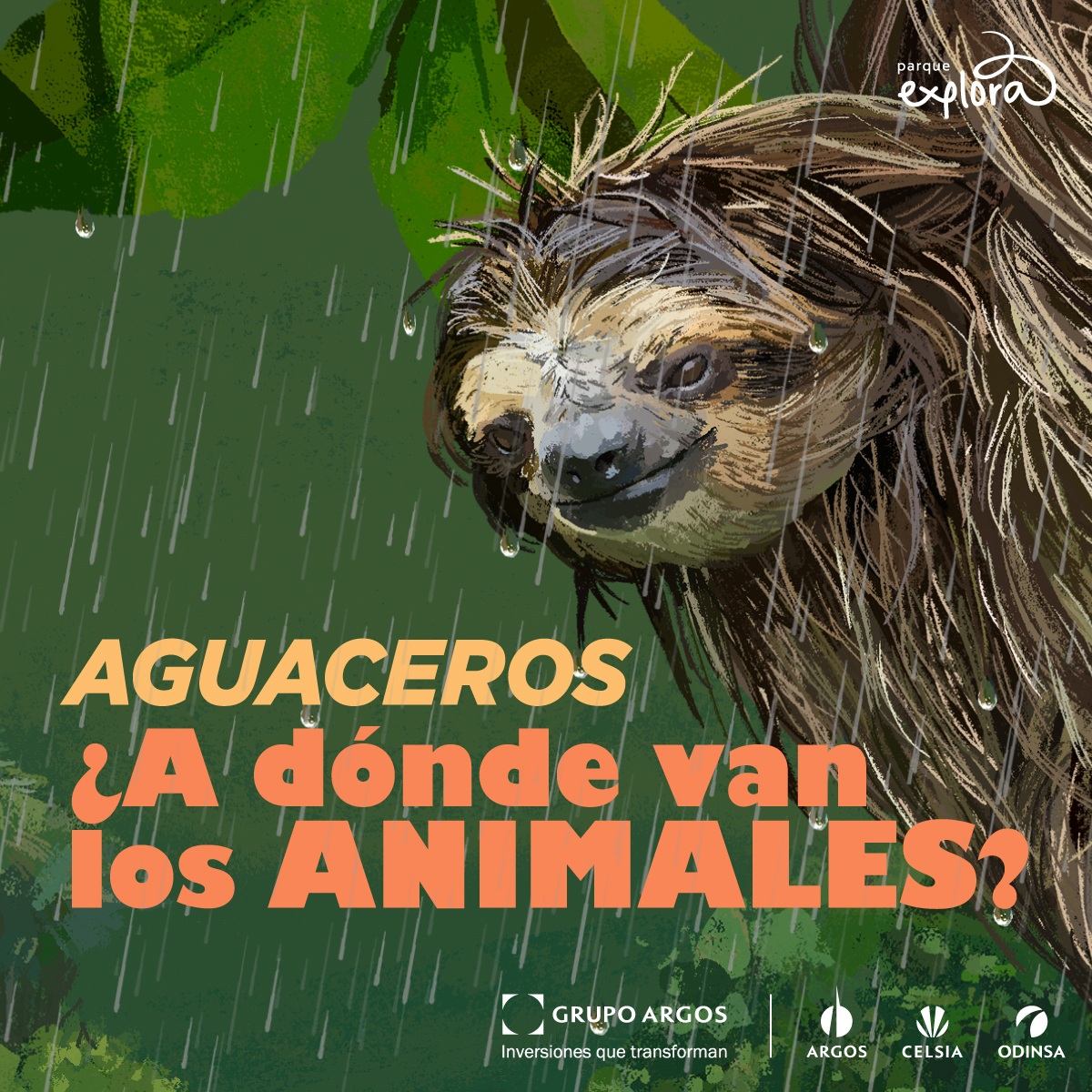 Ilustración. Sobre un fondo con plantas y en medio de la lluvia, en plano medio aparece a la derecha un oso perezoso colgando de algo que no se ve. Está empapado y tiene la cabeza girada para mirar al lector. Abajo un texto dice: “Aguaceros. ¿A dónde van los animales?”.