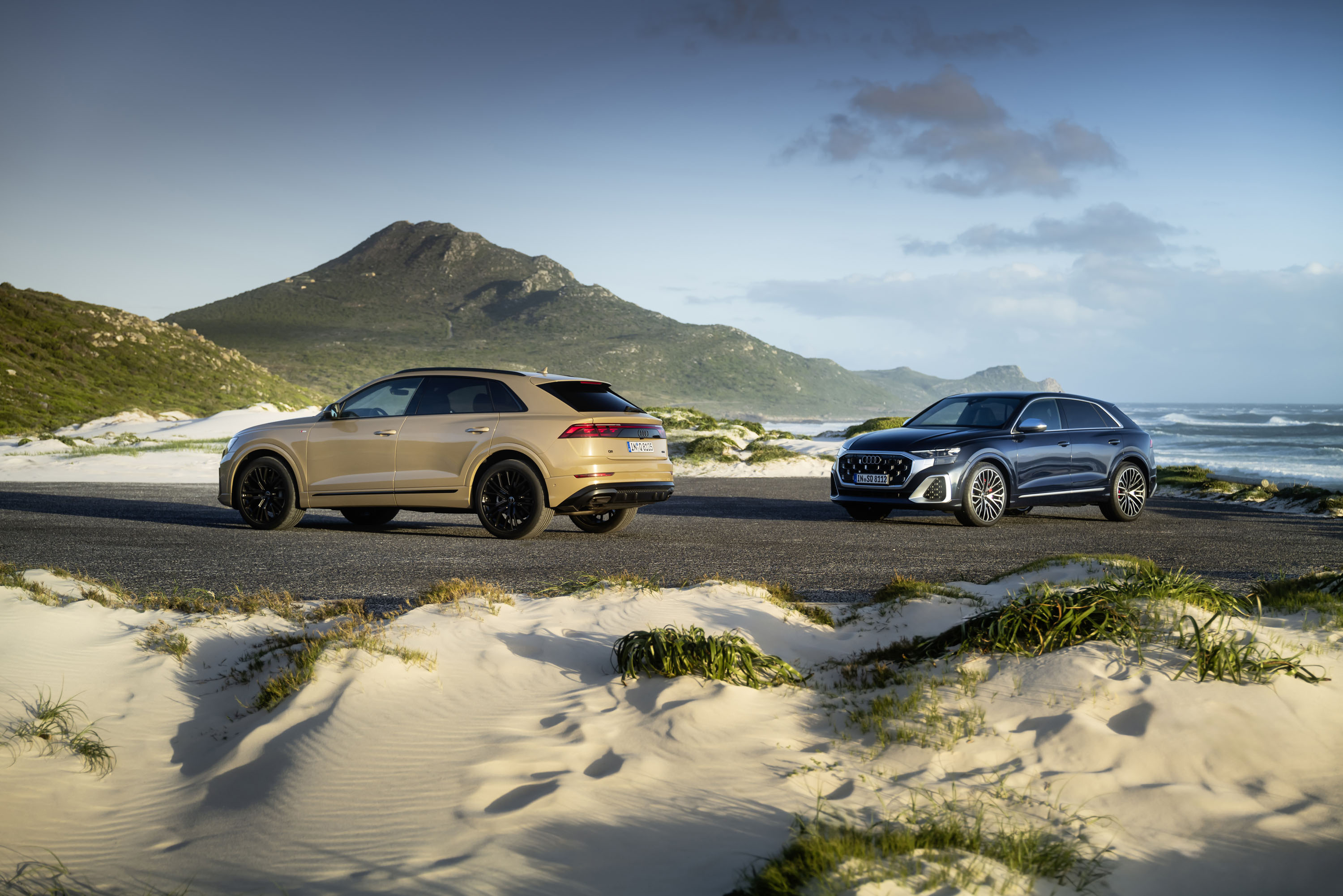Zwei Audi Q8.