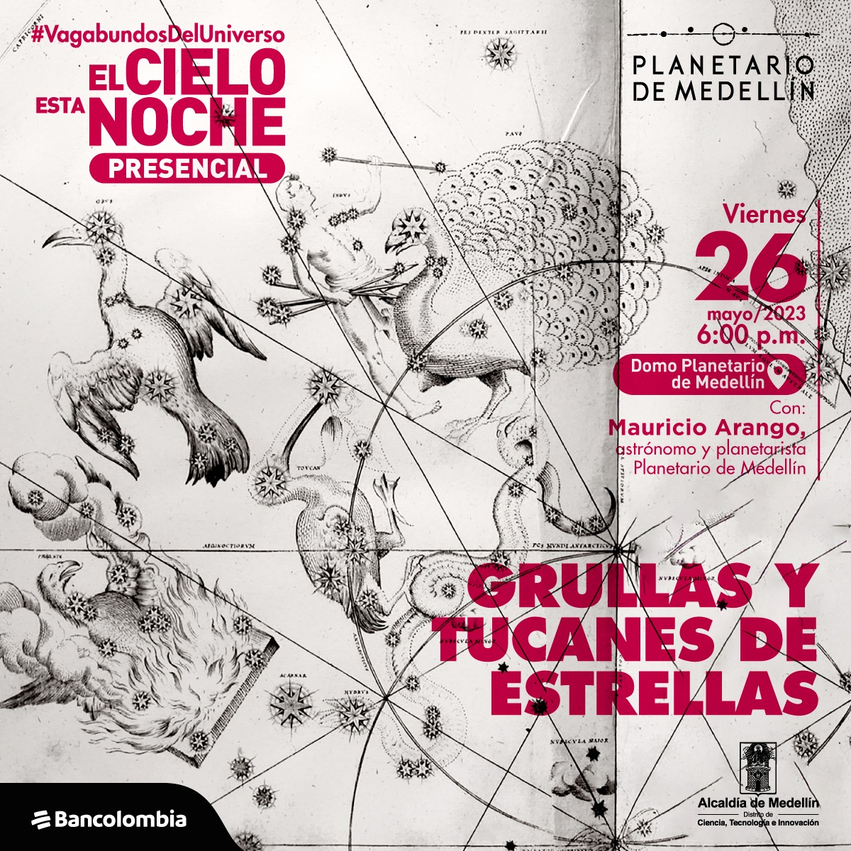 Ilustración. En el fondo algunas ilustraciones de fauna tropical como un tucán, un pájaro y una grulla, están señalados sobre ellos algunas estrellas. Sobre la imagen texto que dice: "El vielo esta noche presencial. Viernes 26 de mayo a las seis de la tarde en el Domo del Planetario de Medellín. Con Mauricio Arango, astrónomo y planetarista del Planetario de Medellín." y en la parte inferior un título que dice "Grullas y tucanes de estrellas".