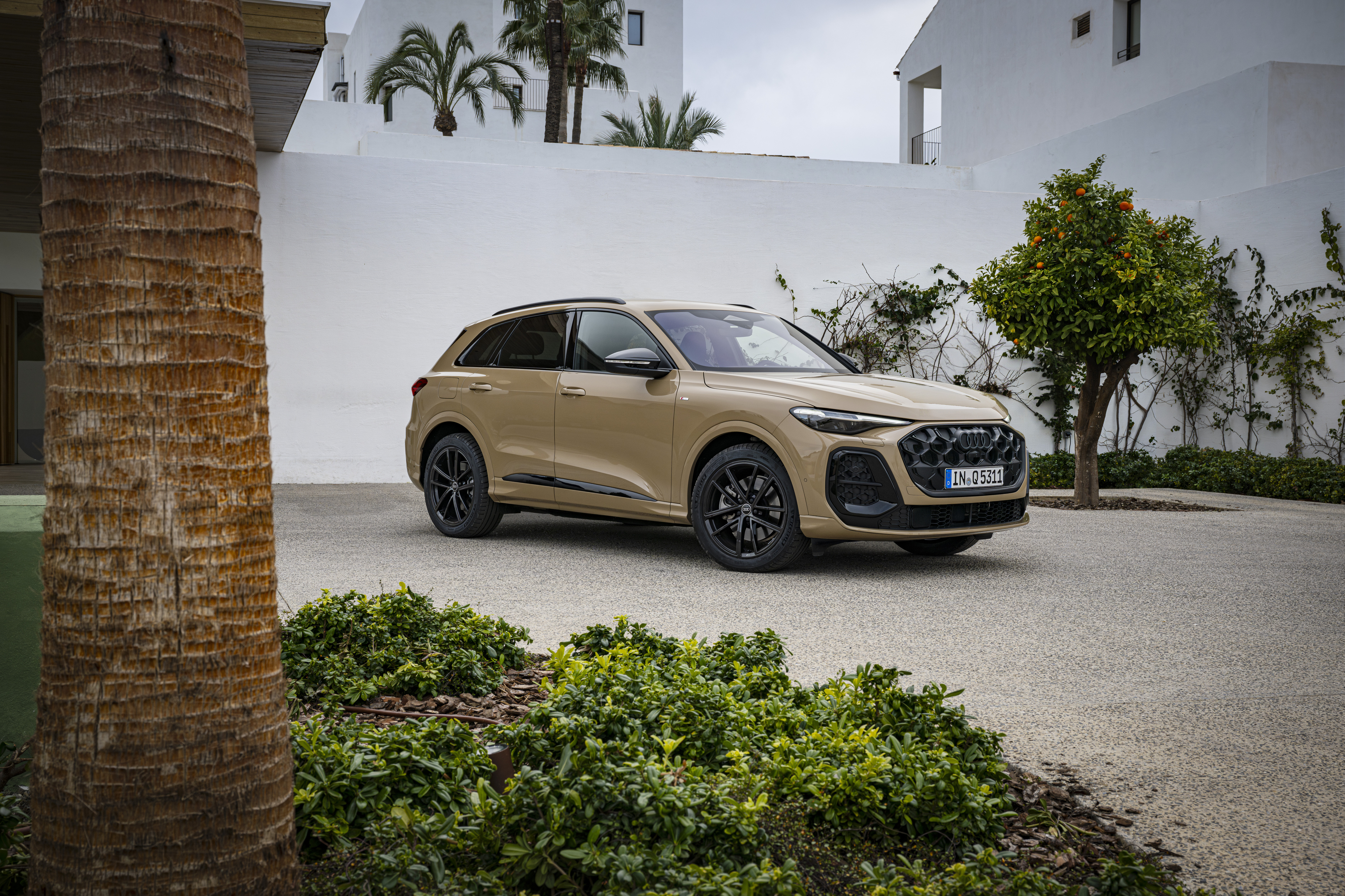 Ein Audi Q5.