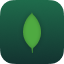 MongoDB