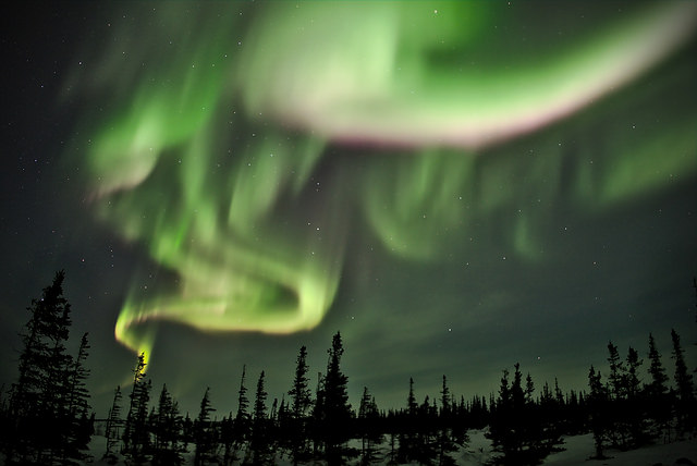 Aurora boreal en el cielo nocturno