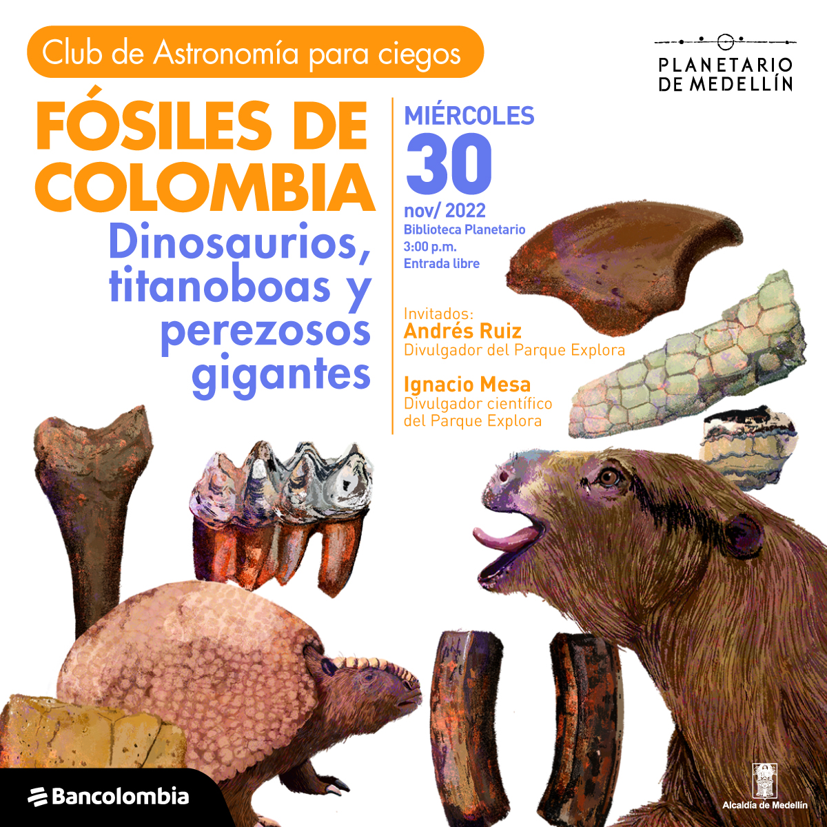 Ilustración. Abajo, rodeados de fragmentos de hueso y dientes, un armadillo y un milodón perezoso gigante (animal extinto emparentado con los actuales perezosos). Arriba un texto dice: "Club de astronomía para ciegos. Fósiles de Colombia, Dinosaurios, titanoboas y perezosos gigantes". Al lado un texto dice: "Miércoles 30 de noviembre de 2022. Invitados: Andrés Ruiz e Ignacio Mesa, biólogos y divulgadores".