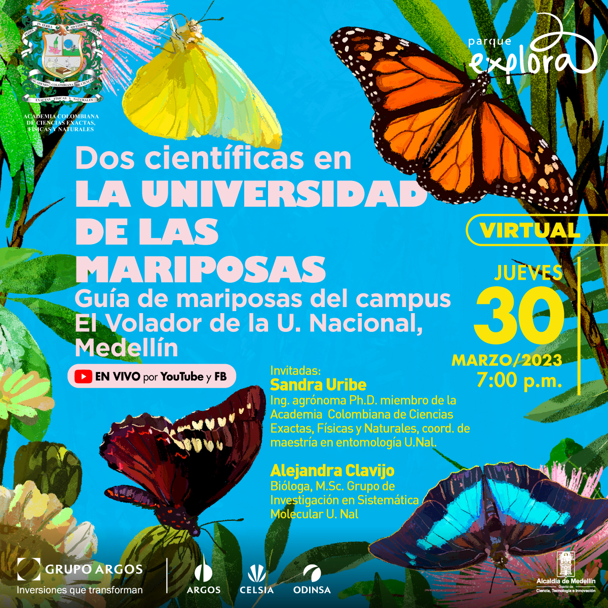 Ilustración. Ubicadas en diferentes partes de la imagen 4 mariposas diferentes: una naranja con negro, una amarilla, una vinotinto y una azul y morado. En el centro de la imagen texto que dice: "Dos científicas de la universidad de las mariposas. Guía de mariposas del campus El Volador de la Universidad Nacional, Medellín. En vivo por YouTube y Facebook. Virtual. Jueves 30 de marzo de 2023 a las 7 de la noche. Invitadas: Sandra Uribe, ingeniera agrónoma, doctora miembro de la Academia Colombiana de Ciencias Exactas, Físicas y Naturales, coordinadora de la maestría en entomología Universidad Nacional. Alejandra Clavijo, bióloga, magister Grupo de Investigación en Sistemática Molecular Universidad Nacional".