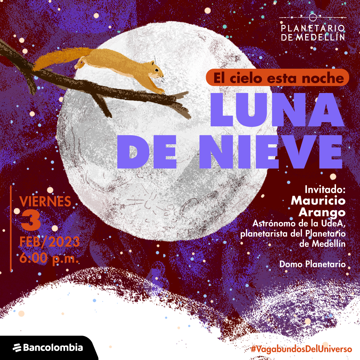 Ilustración. Sobre un fondo estrellado con una luna llena en el centro que ocupa gran parte de la imagen una ardilla de perfil sobre una rama tiene el cuerpo extendido como desplazándose. A la izquierda de la imagen texto que dice: "El cielo esta noche: Luna de nieve. Invitado: Mauricio Arango, astrónomo de la Universidad de Antioquia, planetarista del Planetario de Medellín. Viernes 3 de febrero a las 6 de la tarde. Domo Planetario".