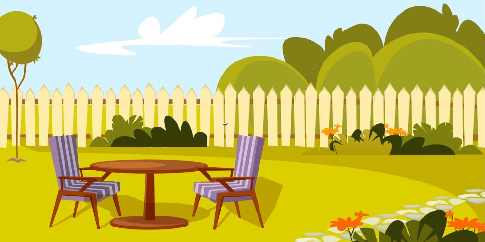 back yard illustration