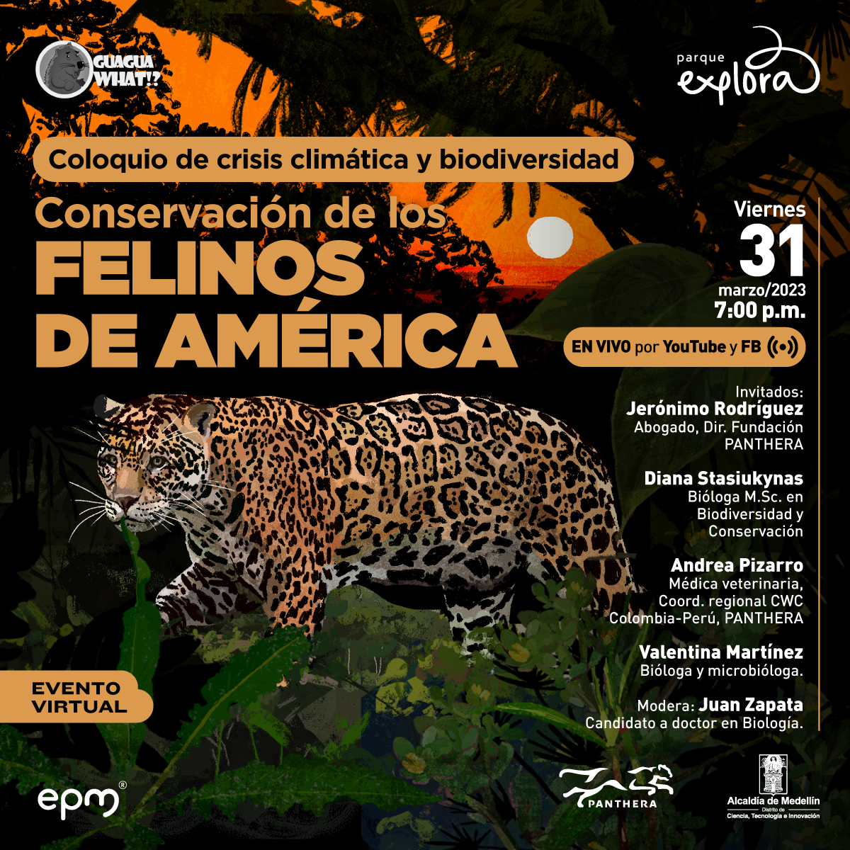Ilustración. Sobre un paisaje selvático, en el centro de la imagen aparece un jaguar de cuerpo completo y de medio perfil. En la parte superior de la imagen texto que dice: "Coloquio de crisis climática y biodiversidad. Conservación de los felinos de América. Evento virtual". En la parte derecha de la imagen texto que dice: "Viernes 31 de marzo de 2023 a las 7 de la noche. en vivo por YouTube y Facebook. Invitados: Jerónimo Rodríguez, abogado y director de la Fundación Panthera. Diana Stasiukynas, bióloga, magister en Biodiversidad y Conservación. Andrea Pizarro, médica veterinaria, coordinadora regional CWC, Colombia, Perú, Panthera. Valentina Martínez, bióloga y microbióloga. Modera: Juan Zapata, candidato a doctor en Biología".