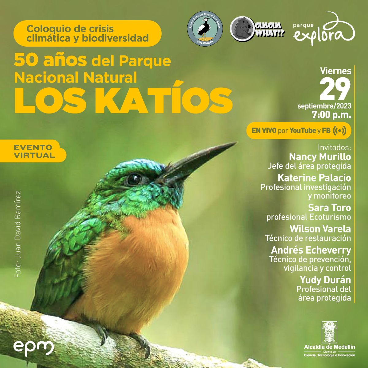 Foto. En la parte inferior de la imagen un jacamar parado sobre una rama, una ave que tiene pico largo y angosto y un cuerpo redondo con plumas verdes y el pecho naranja. En la parte superior de la imagen texto que dice: "Coloquio de crisis climática y biodiversidad. 50 años del Parque Nacional Natural Los Katíos. Evento virtual. Viernes 29 de septiembre de 2023 a las 7 de la noche. En vivo por YouTube y Facebook. Invitados: Nancy Murillo, jefe del área protegida. Katerine Palacio, profesional investigación y monitoreo. Sara Toro, profesional Ecoturismo. Wilson Varela, técnico de restauración. Andrés Echeverry, técnico de prevención, vigilancia y control. Yudy Durán, profesional del área protegida. Foto: Juan David Ramírez".