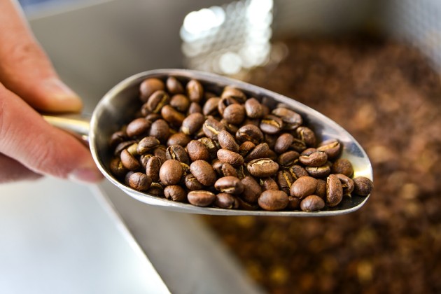 Coffee Beans – From Farm to Your Cup