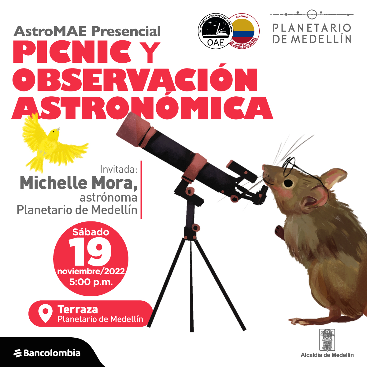 Ilustración. En la parte inferior derecha de la imagen un ratón color café parado en sus patas traseras con gafas redondas mirando por un telescopio. Frente al telescopio un pájaro color amarillo con sus alas desplegadas. En la parte izquierda de la imagen texto que dice: "AstroMAE presencial. Picnic y observación astronómica. Invitada: Michelle Mora, astrónoma Planetario de Medellín. Sábado 19 de noviembre de 2022 a las 5 de la tarde. Terraza Planetario de Medellín".