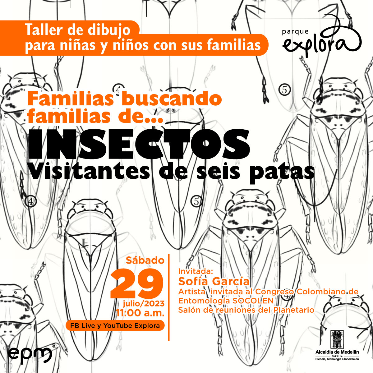 Ilustración. Distribuidos de forma vertical en toda la imagen varios insectos vistos desde arriba. Están dibujados solo en trazo negro. En el centro de la imagen texto que dice: "Taller de dibujo para niñas y niños con sus familias. Familias buscando familias de insectos. Visitantes de seis patas. Sábado 29 de julio de 2023 a las 11 de la mañana. Facebook live y YouTube Explora. Invitada: Sofía García. Artista invitada del Congreso Colombiano de Entomología SOCOLEN. Salón de reuniones del Planetario".