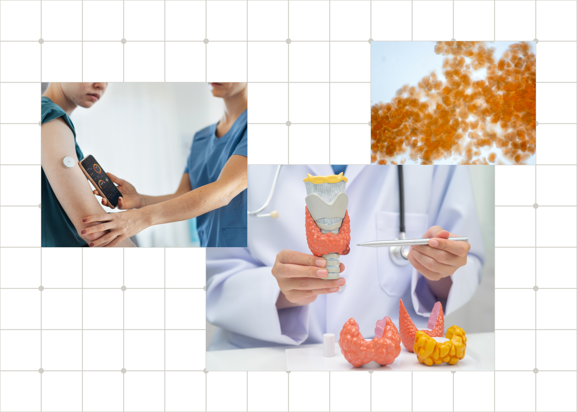 Curated visual reference: Picture Idea: Academia Endocrinology And Metabolism