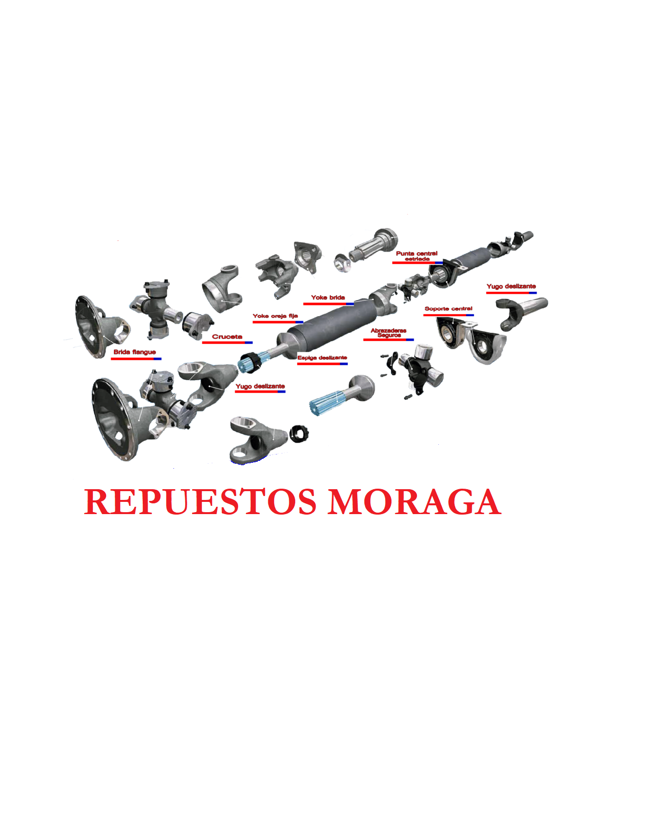 JUNTA DE CARDAN