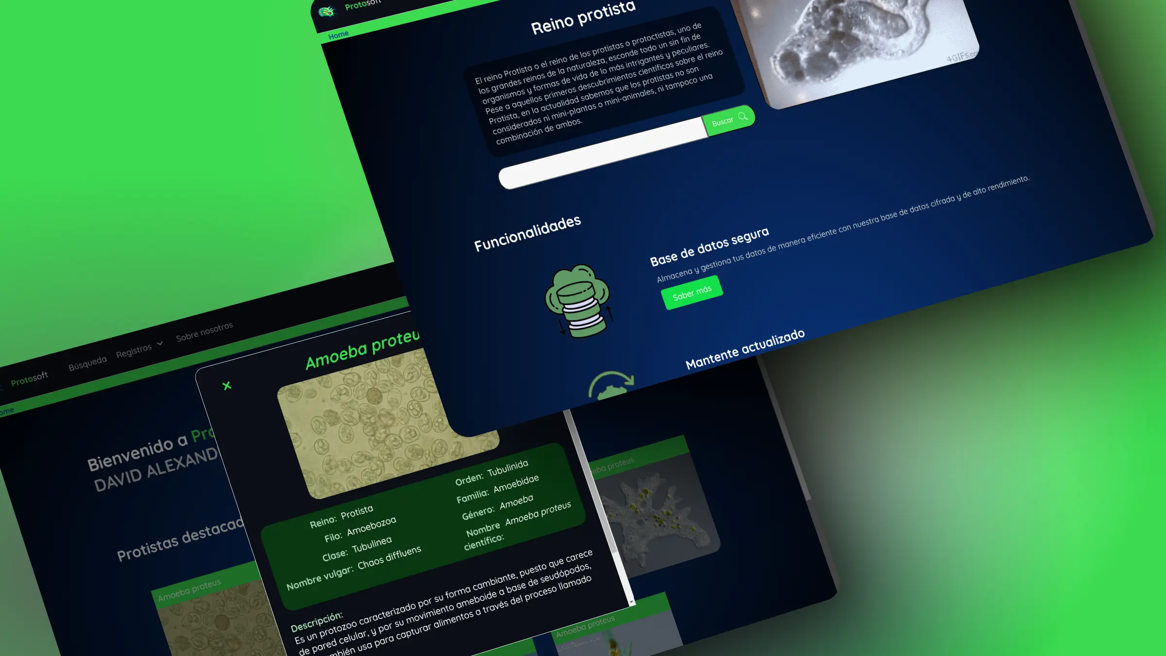 Web page