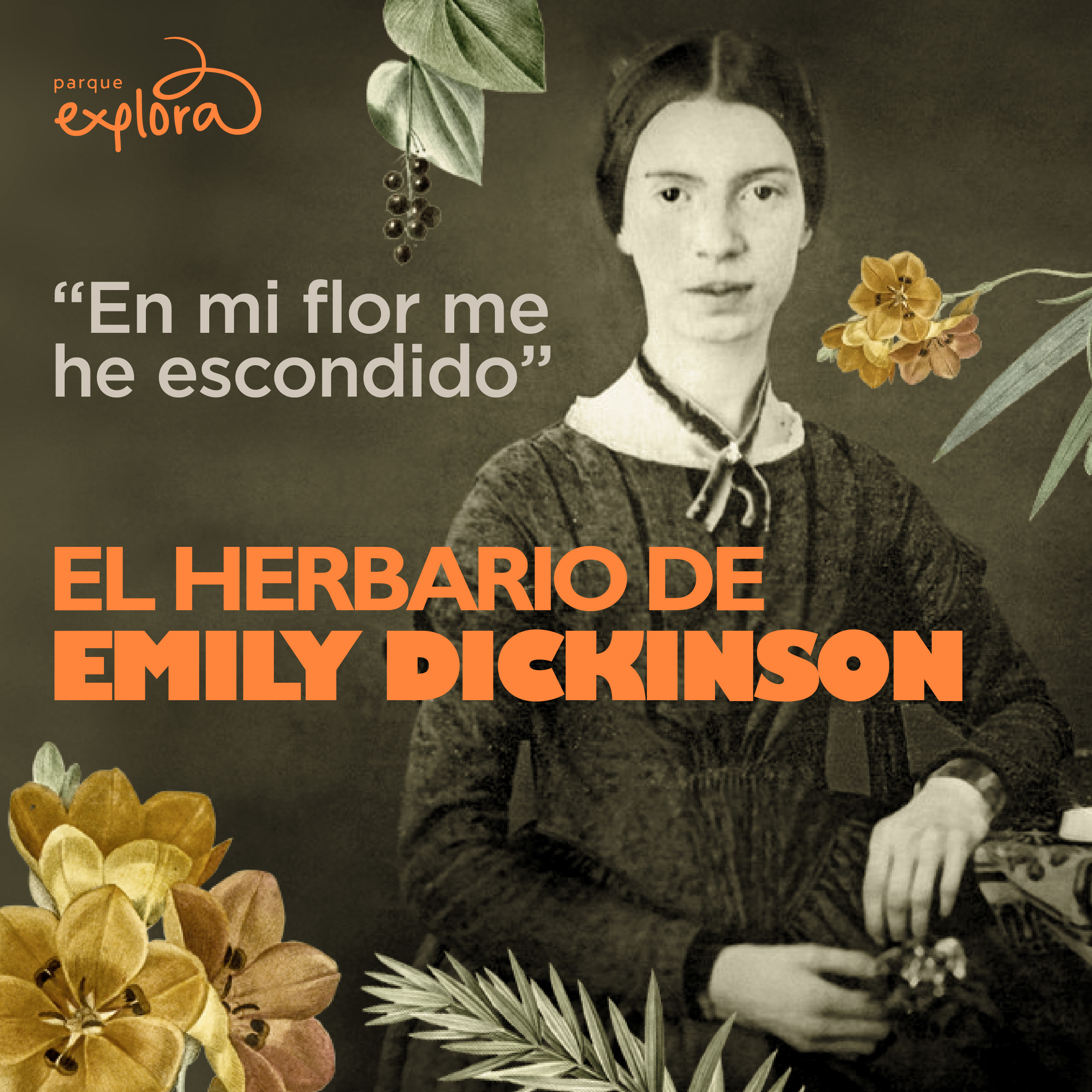 Foto. En la parte derecha de la imagen la poeta Emily Dickinson de frente y de medio cuerpo. Tiene el cabello recogido atrás, cejas delgadas y ojos grandes que parecieran mirar a quien observa la imagen. Tiene labios grandes y la expresión de su rostro es seria. Está sentada, tiene un vestido de manga larga y en su mano derecha sostiene una flor. A su alrededor hay diferentes tipos de flores. A la izquierda de la imagen texto que dice: “En mi flor me he escondido. El herbario de Emily Dickinson”.