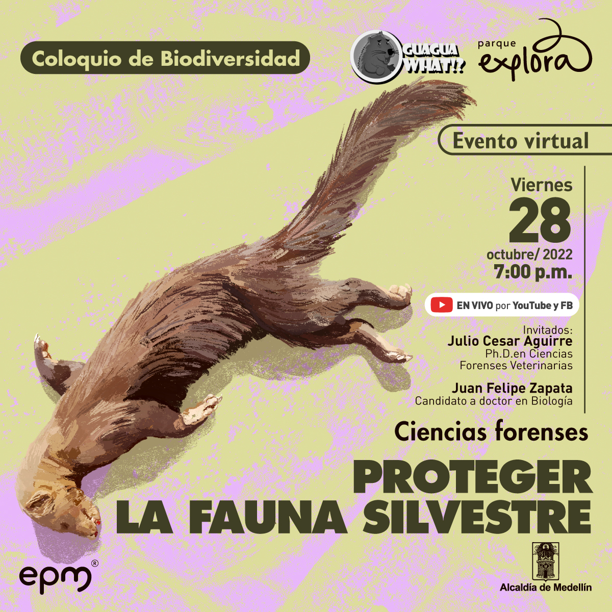 Ilustración. De cuerpo entero y tirada de lado aparece una nutria, con la cabeza en la esquina inferior izquierda y la cola en la superior derecha. Tiene los ojos cerrados y el rostro tieso. La pata delantera apoyada contra el suelo está orientada hacia atrás y la otra hacia adelante. Arriba un texto dice: “Coloquio de Biodiversidad”. Abajo un texto dice: “Ciencias forenses. Proteger la fauna silvestre”.  A la derecha un texto dice: “Evento virtual. Viernes 28 de octubre de 2022 a las 7 de la noche. En vivo por YouTube y Facebook. Invitados: Julio César Aguirre, doctor en Ciencias Forenses Veterinarias. “Juan Felipe Zapata, candidato a doctor en Biología”.