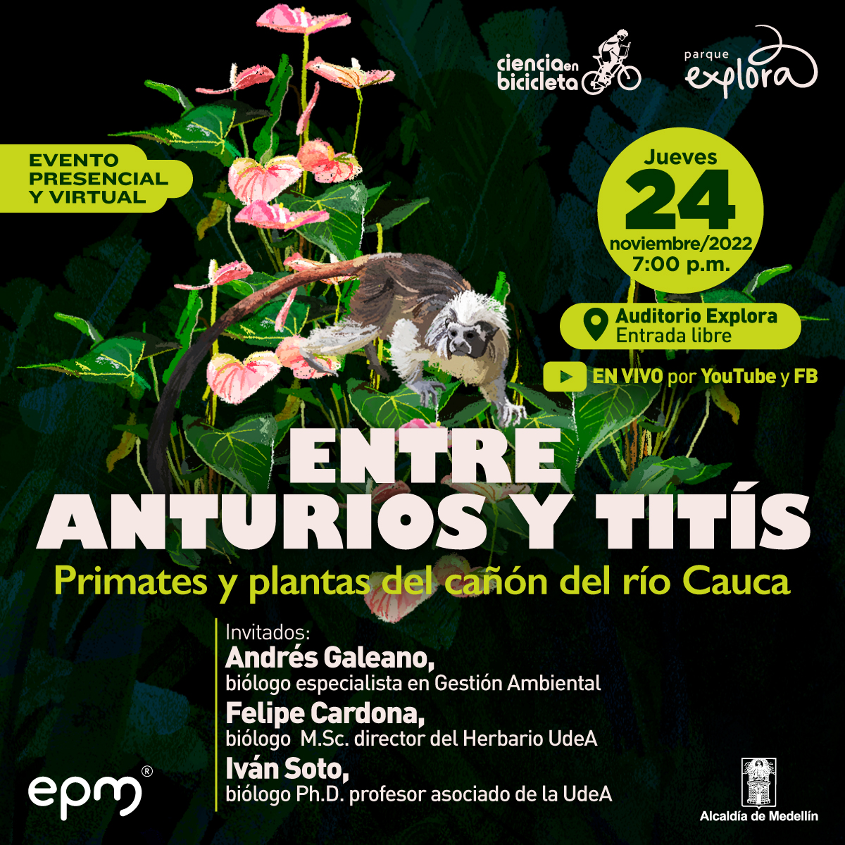Ilustración. En el centro de la imagen un mono tití parado sobre sus cuatro patas en varios anturios color rosa con hojas verdes. En la parte inferior de la imagen texto que dice: "Evento presencial y virtual. Jueves 24 de noviembre de 2022 a las 7 de la noche en Auditorio Explora. Entrada libre. En vivo por YouTube y Facebook. Entre anturios y titís, primates y plantas del cañón del río Cauca. Invitados: Andrés Galeano, biólogo especialista en Gestión Ambiental. Felipe Cardona, biólogo magíster, director del Herbario Universidad de Antioquia. Iván Soto, biólogo doctorado, profesor asociado de la Universidad de Antioquia".