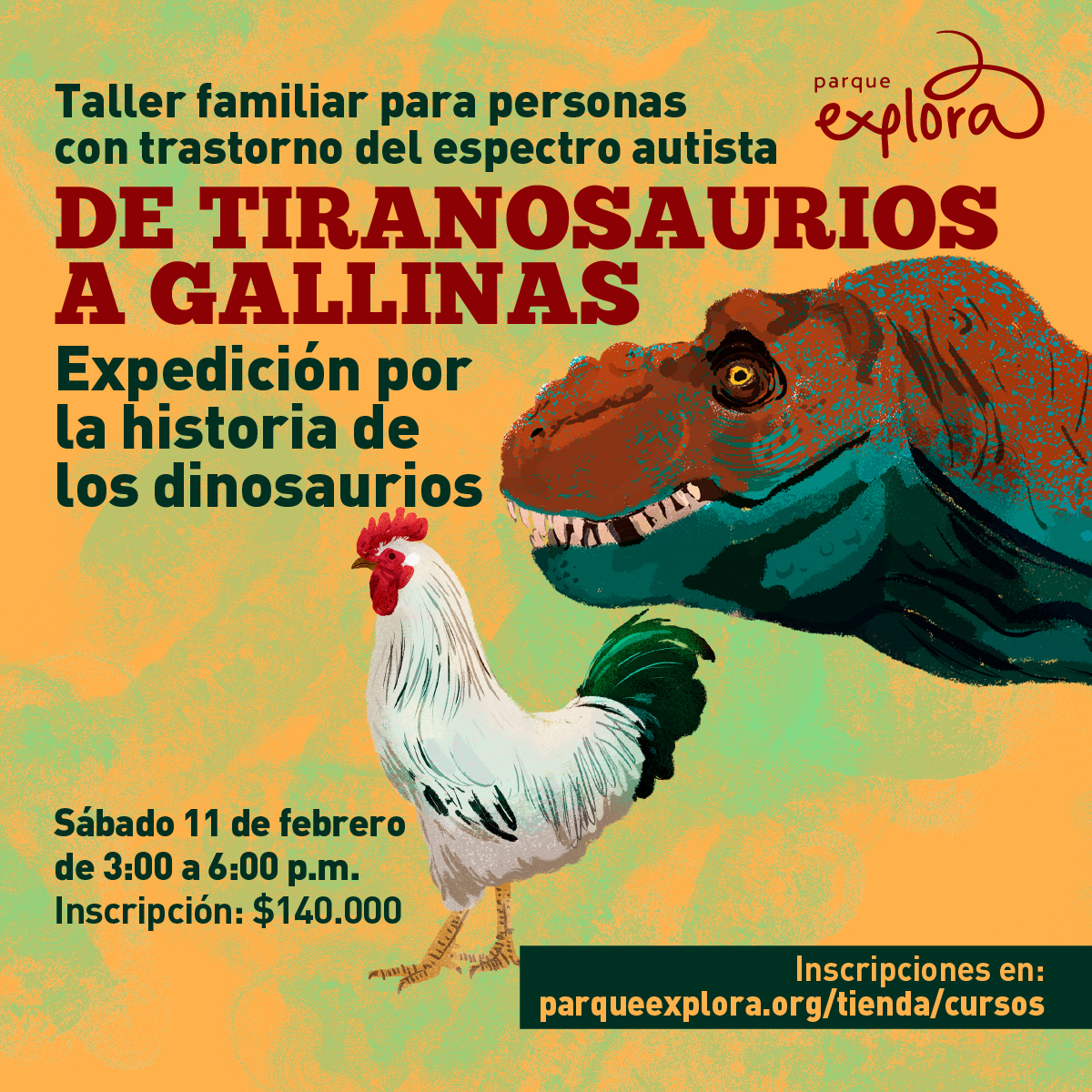 Ilustración. En el centro de la imagen una gallina de pie, de medio perfil mirando hacia la izquierda de la imagen, es de color blanco con cresta roja y cola color verde. Detrás de la gallina, a la derecha de la imagen la cabeza de un tiranosaurio con la boca entreabierta dejando ver sus dientes. En la parte izquierda de la imagen texto que dice: "Taller familiar para personas con trastorno del espectro autista. De tiranosaurios a gallinas, expedición por la historia de los dinosaurios. Sábado 11 de febrero de 3 a 6 de la tarde. Inscripción: $140.000. Inscripciones en: parqueexplora.org/tienda/cursos