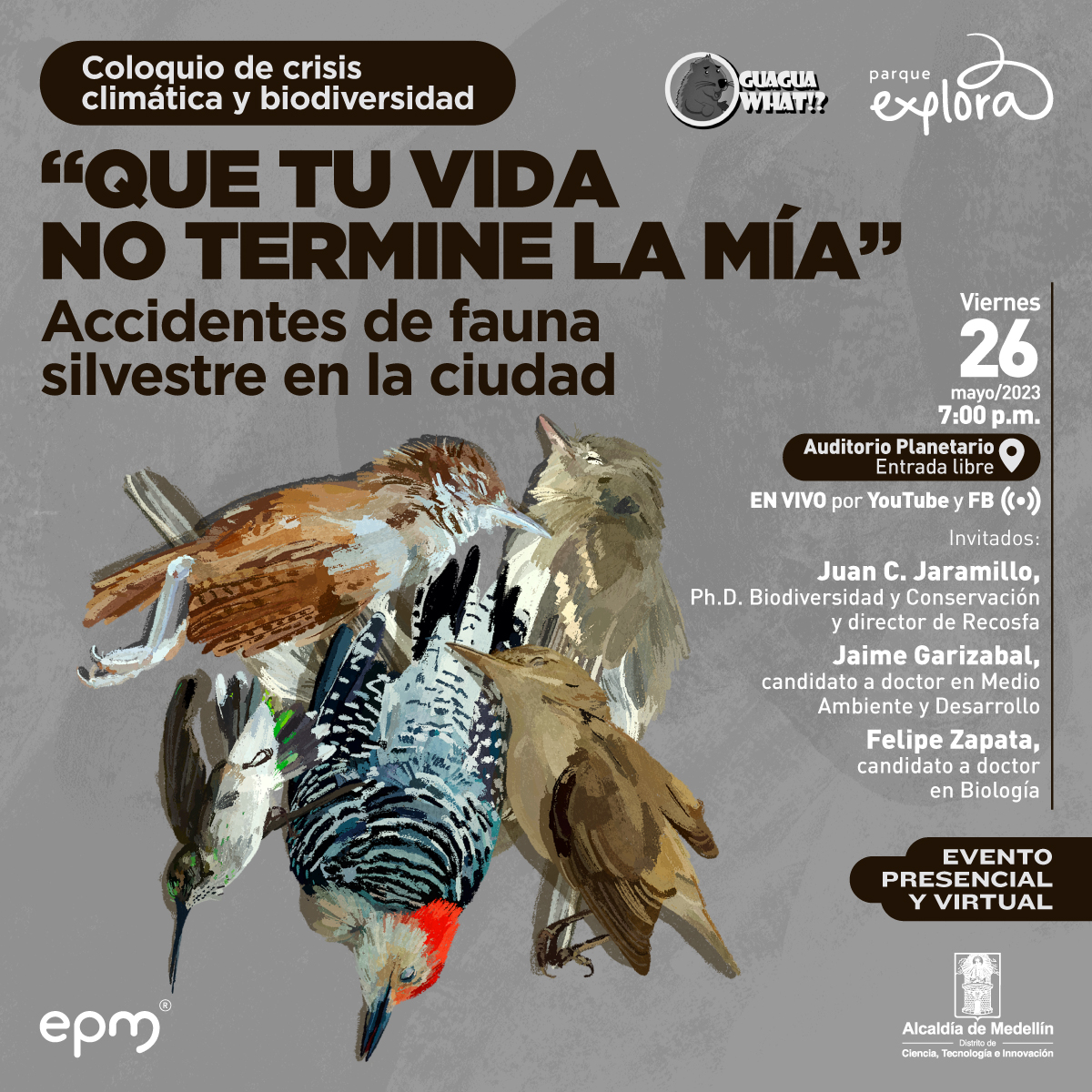 Ilustración. En el centro varios pájaros rígidos, parece que están muertos. Arriba un texto dice: “Coloquio de crisis climática y Biodiversidad”. Abajo otro texto dice: “’Que tu vida n termine la mía’. Accidentes de fauna silvestre en la ciudad”. A la derecha un texto dice: “Invitados: Juan C. Jaramillo, PhD biodiversidad y conservación, director de Recosfa. Jaime Garizábal, MSc y PhD (c) en Medio Ambiente y Desarrollo. Felipe Zapata, profesor UdeA, candidato a doctor en Biología. Auditorio Planetario, entrada libre. En vivo por YouTube y Facebook. Evento virtual y presencial”.