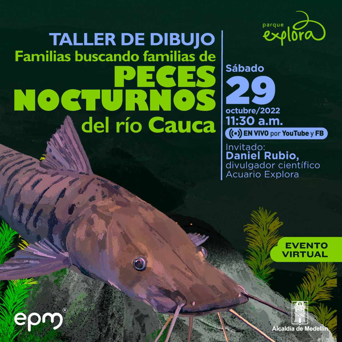 Ilustración. Saliendo de la izquierda y sobre un fondo de rocas y plantas de río, aparece un pez bagre de color marrón. Su rostro es aplanado y con largos bigotes. Arriba un texto dice:”Taller de dibujo. Familias buscando familias de peces nocturnos en el río Cauca. Evento virtual. Sábado 29 de octubre de 2022 a las once y media de la mañana. Invitado: Daniel Rubio, divulgador científico Acuario Explora En vivo por Youtube y Facebook”.