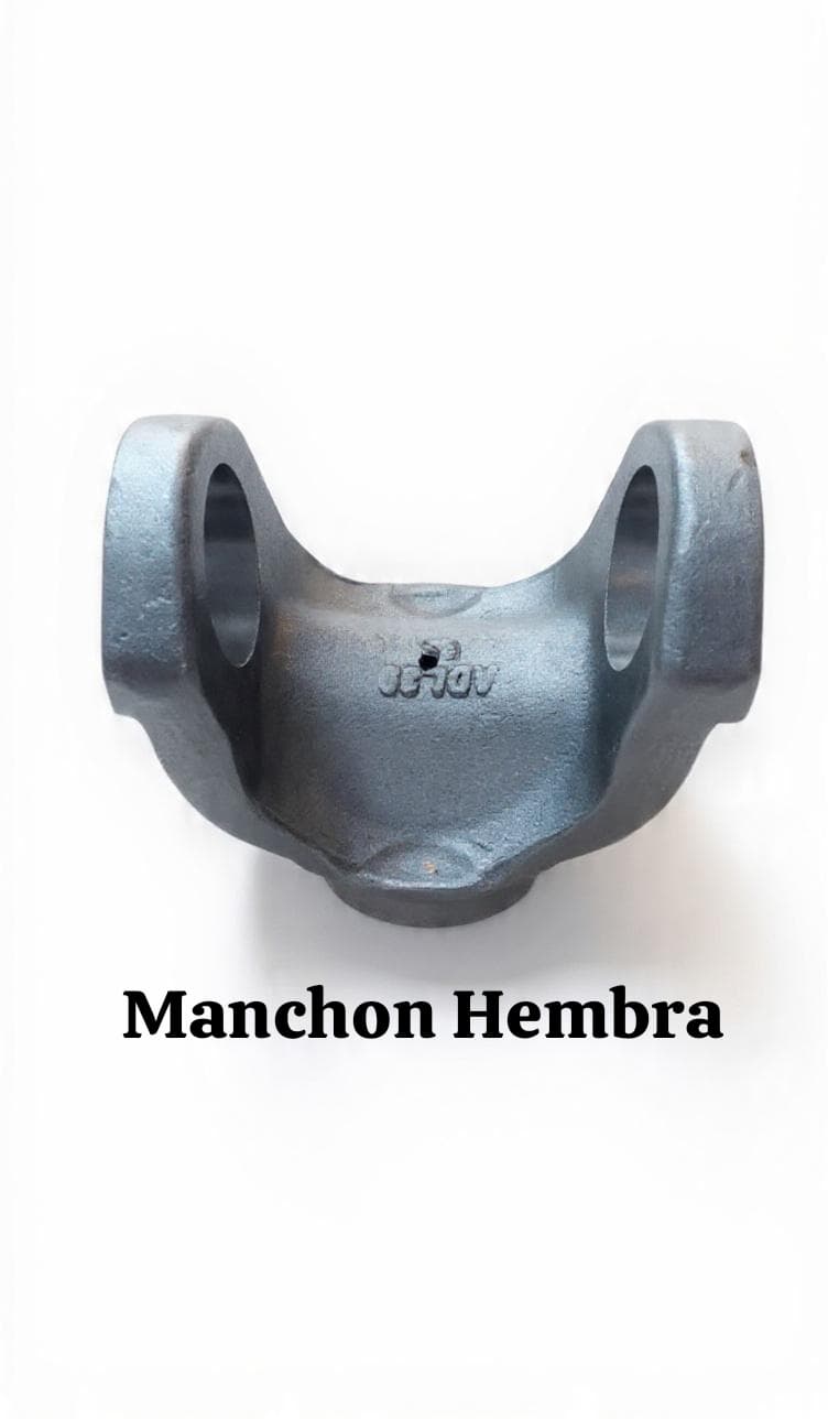 MACHON / HEMBRA 