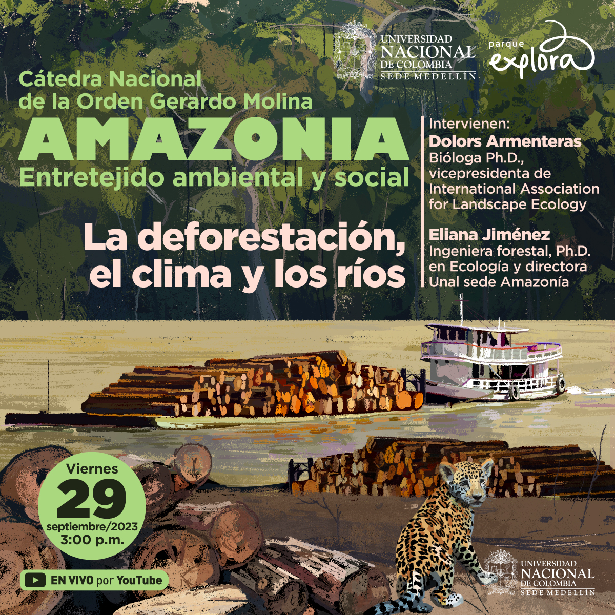 Ilustración. En el centro, una embarcación blanca empuja sobre el agua un montículo de troncos cortados, detrás se ve el bosque. En la parte inferior, la playa del río donde hay troncos a la derecha e izquierda, y en la esquina inferior derecha un cachorro de jaguar mira hacia atrás. En la parte superior texto "Cátedra Nacional de la orden Gerardo Molina, Amazonía, entretejido ambiental y social. Intervienen: Dolors Armenteras, doctora en biología, vicepresidenta de International Association for Landscape Ecology, y Eliana Jiménez, ingeniera forestal, doctora en ecología y directora de la Universidad Nacional sede Amazonía. Viernes 29 de septiembre de 2023, 3 de la tarde. Transmisión en vivo por YouTube del Parque Explora".