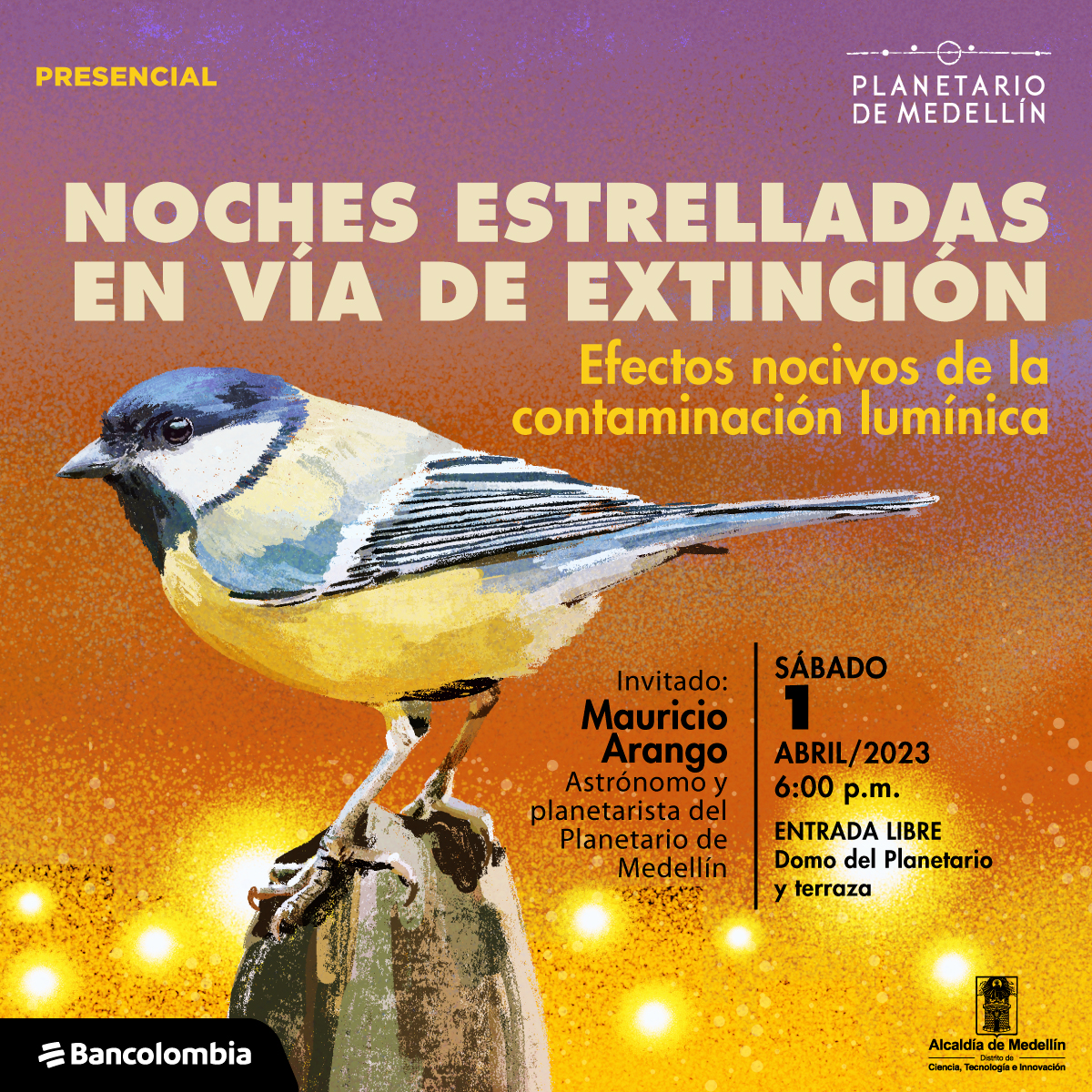 Ilustración. En la parte izquierda de la imagen un pájaro de colores azules y amarillos parado sobre una superficie color café. En la parte superior texto que dice: "Noches estrelladas en vía de extinción. Efectos nocivos de la contaminación lumínica". En la parte inferior derecha texto que dice: "Invitado: Mauricio Arango, astrónomo y planetarista del Planetario de Medellín. Sábado 1 de abril de 2023 a las 6 de la tarde. Entrada libre. Domo del Planetario y terraza".