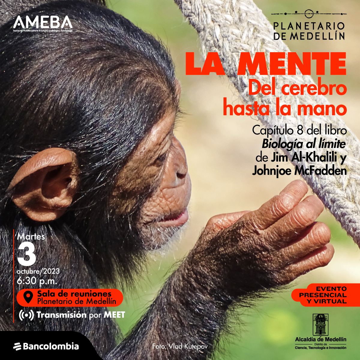 Foto. En la parte derecha de la imagen un chimpancé de perfil que extiende su mano hacia una vara de madera que atraviesa la imagen de manera diagonal.  Sobre la imagen texto que dice: "La mente, del cerebro hasta la mano. Capítulo 8 del libro Biología al límite de Jim Al-Khalil y Johnjoe McFadden. Martes 3 de octubre a las seis y media de la tarde en la sala de reuniones del Planetario de Medellín, transmisión por Meet".
