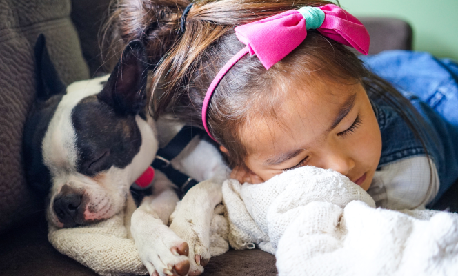 Sleeping girl on couch with french bulldog. 